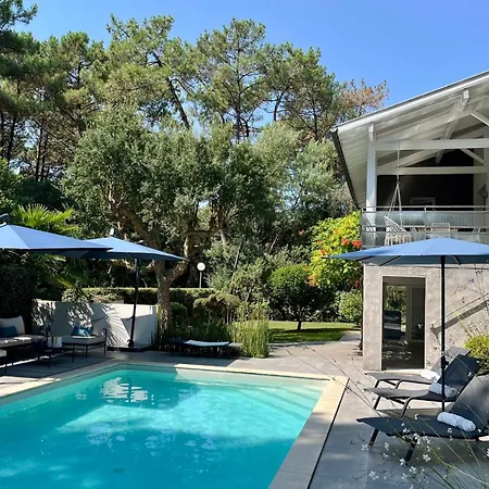 Hortensia - Welkeys *